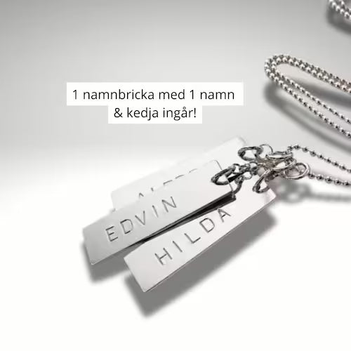 Stilrent halsband med namnbricka & gravyr